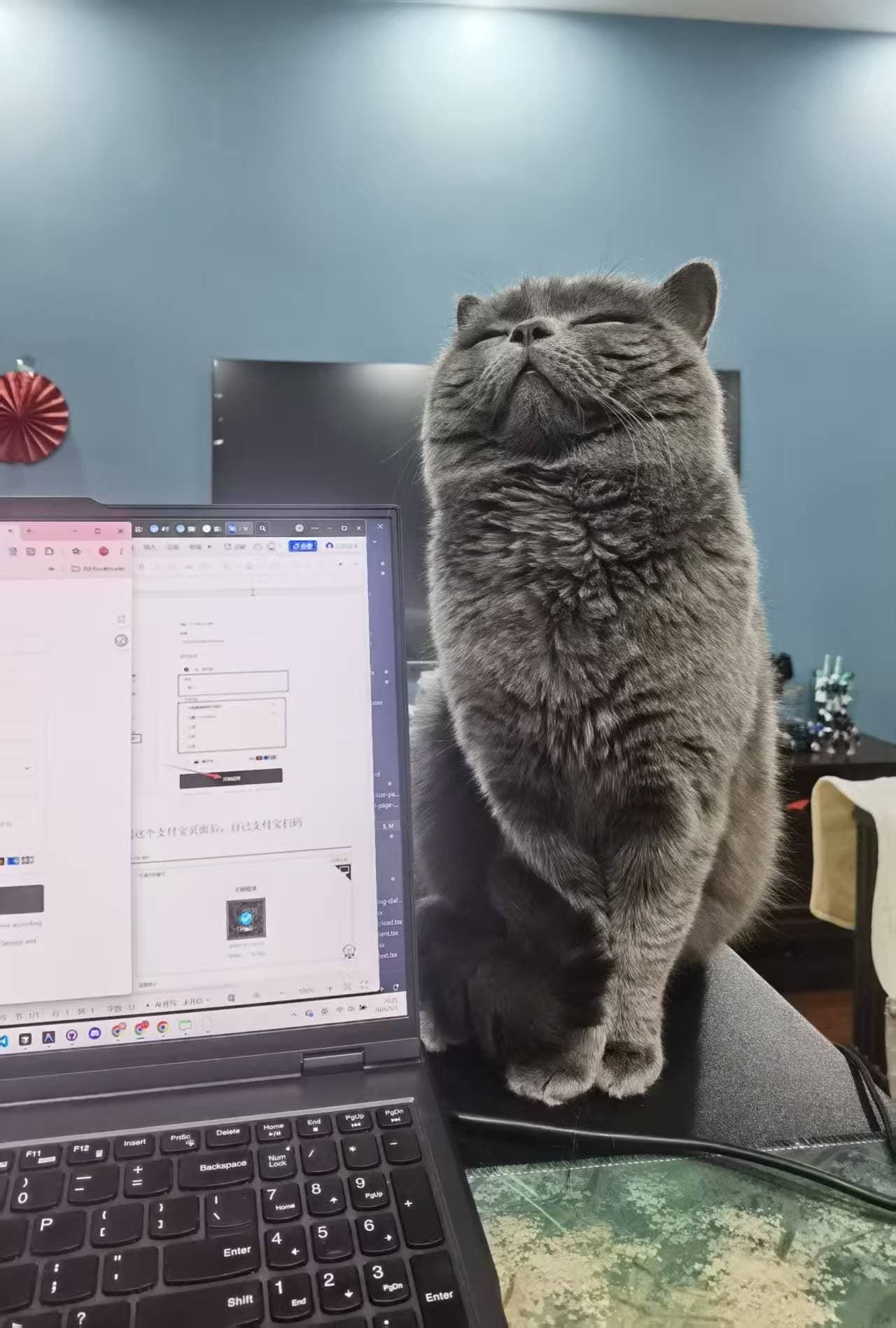 Original pet photo