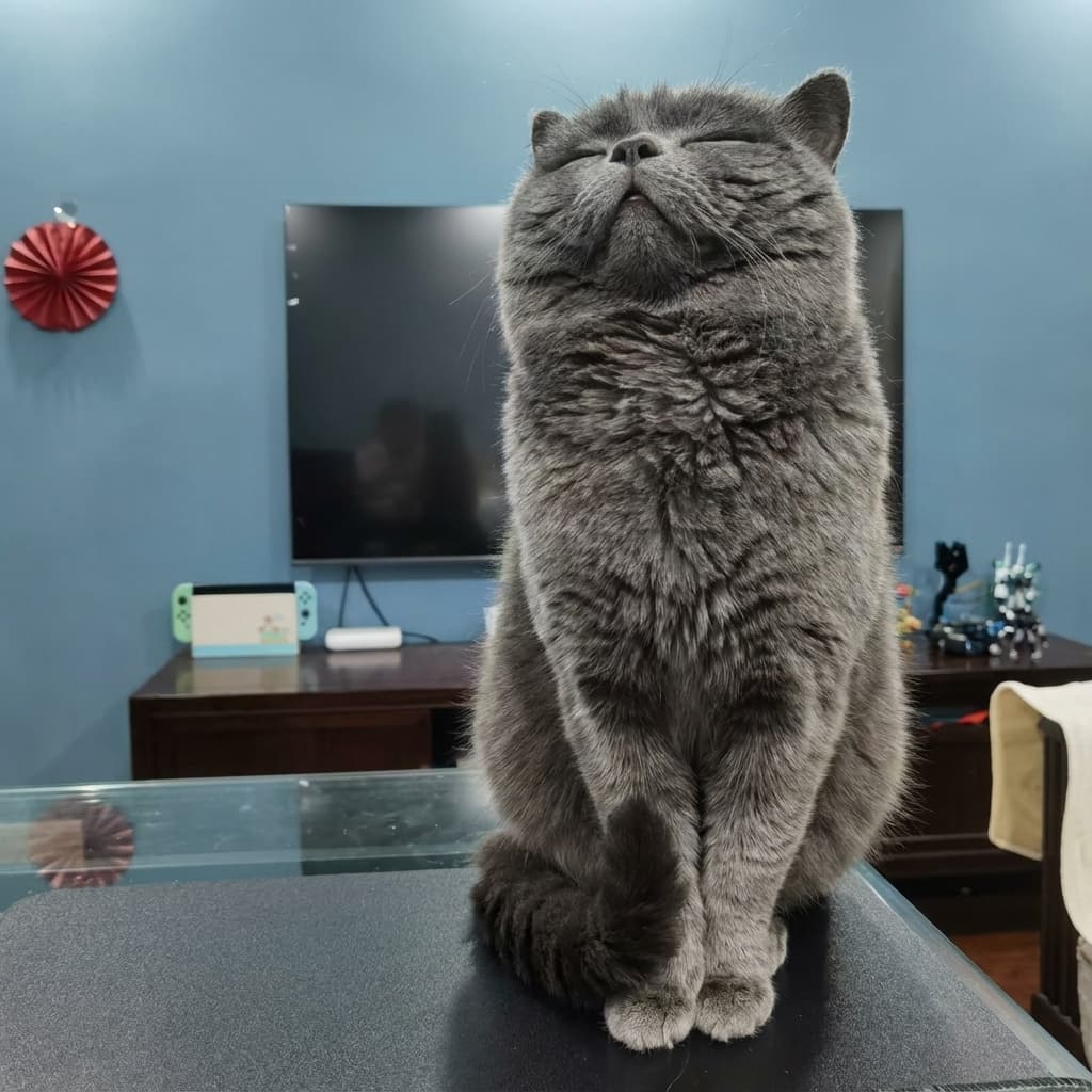 Original pet photo before AI portrait transformation